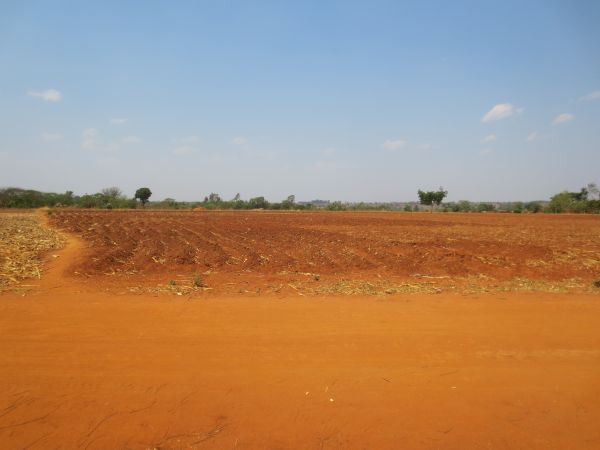 Malawi field open2